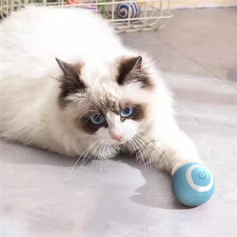 Cat Teasing Automatic Interactive Ball Toy for Kittens & Cats