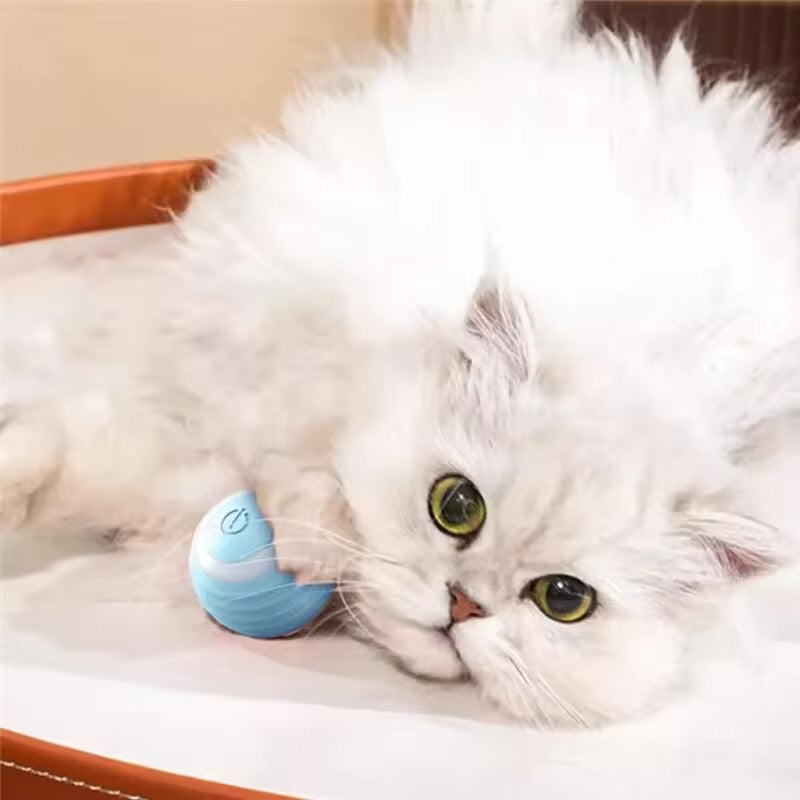 Cat Teasing Automatic Interactive Ball Toy for Kittens & Cats