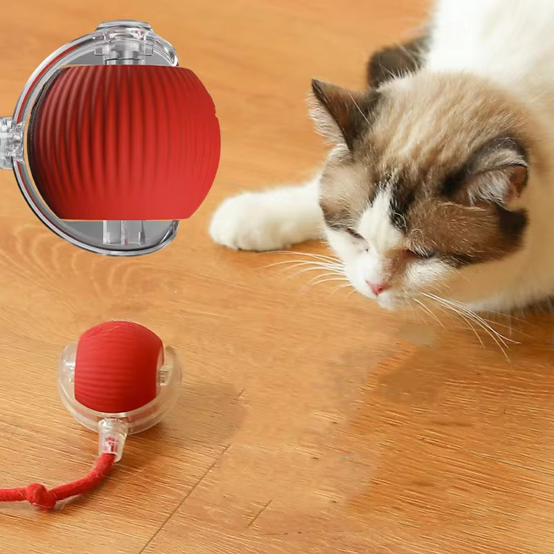 TailSpin™ Smart Ball Interactive Motion Toy for Dogs & Cats
