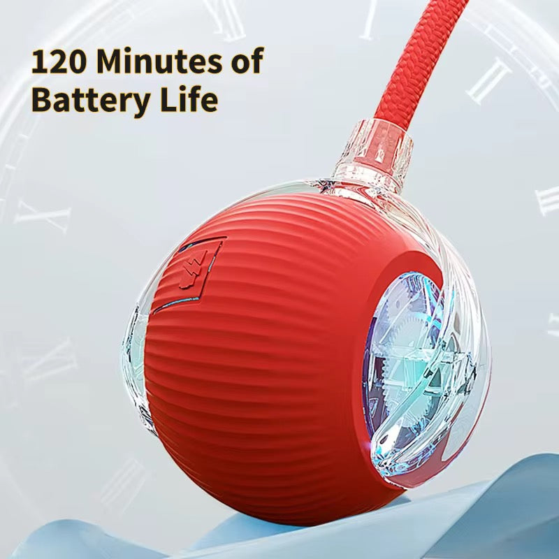 TailSpin™ Smart Ball Interactive Motion Toy for Dogs & Cats
