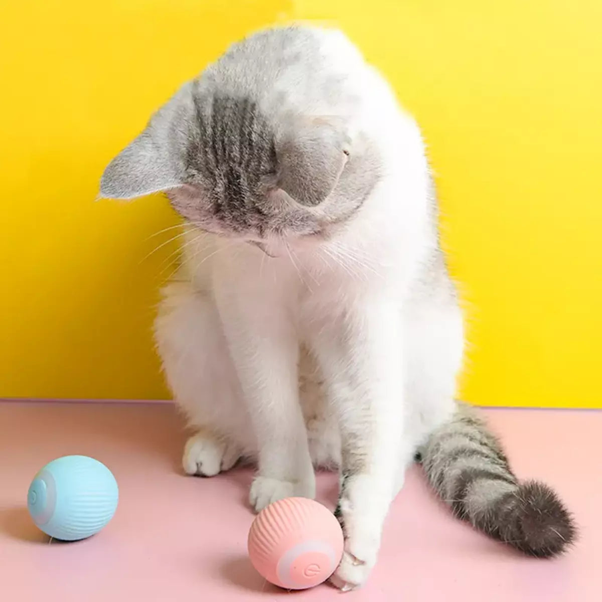 Cat Teasing Automatic Interactive Ball Toy for Kittens & Cats