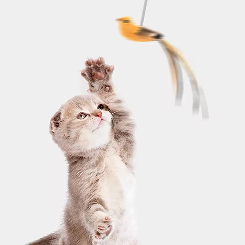 PawFeather™ Interactive Bird Cat Suction Toy – Steel Wire & Strong Base