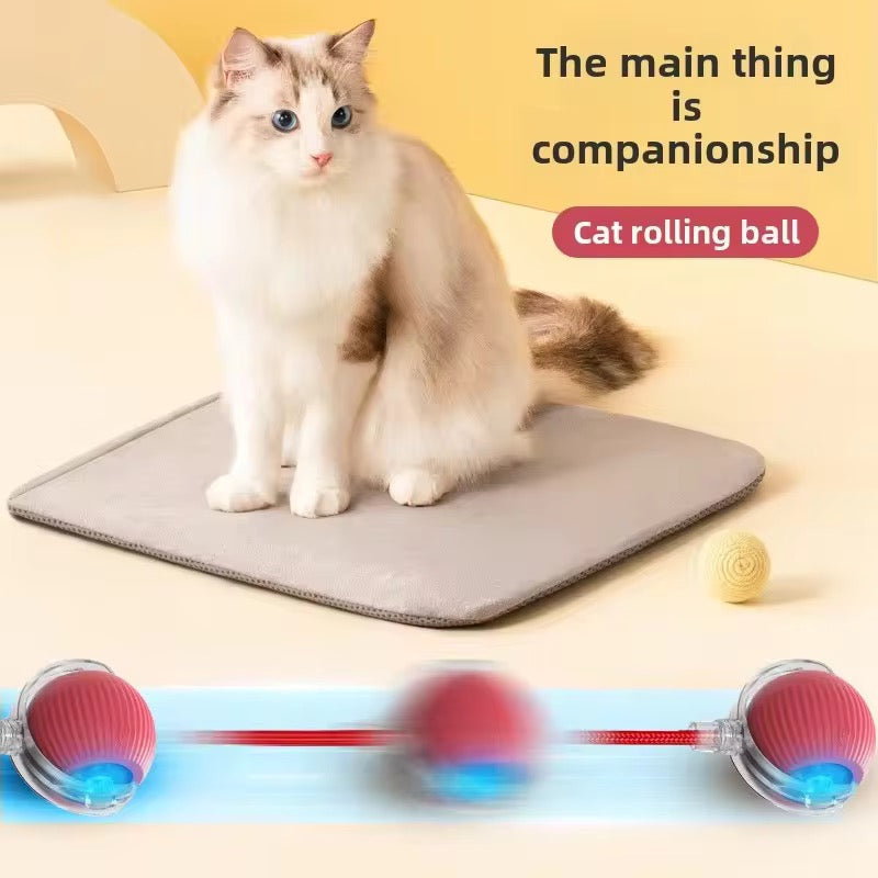 TailSpin™ Smart Ball Interactive Motion Toy for Dogs & Cats