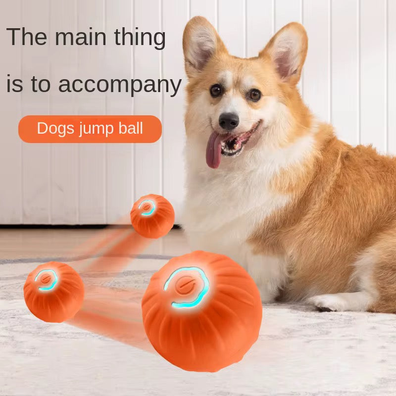 ZoomPaw™ Smart Jump Ball