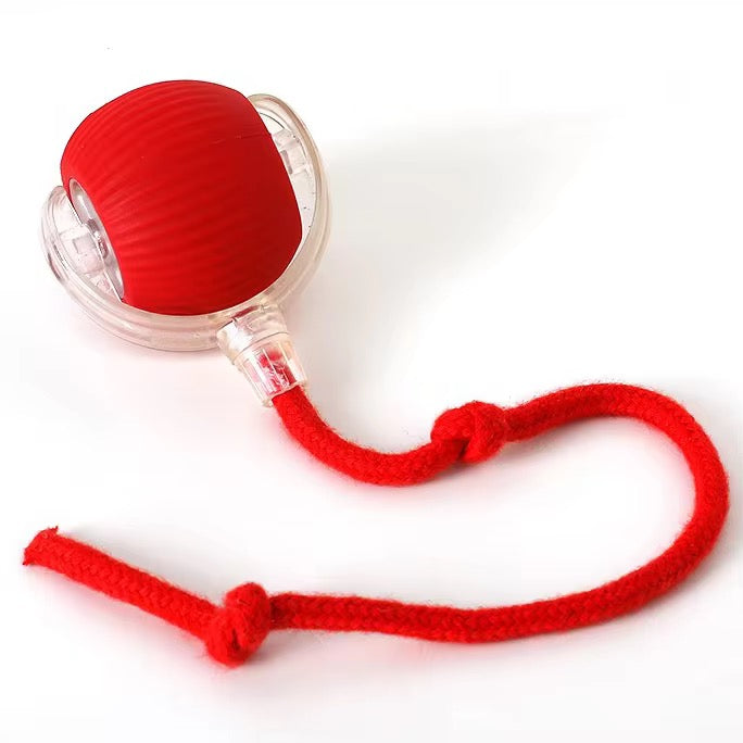 TailSpin™ Smart Ball Interactive Motion Toy for Dogs & Cats