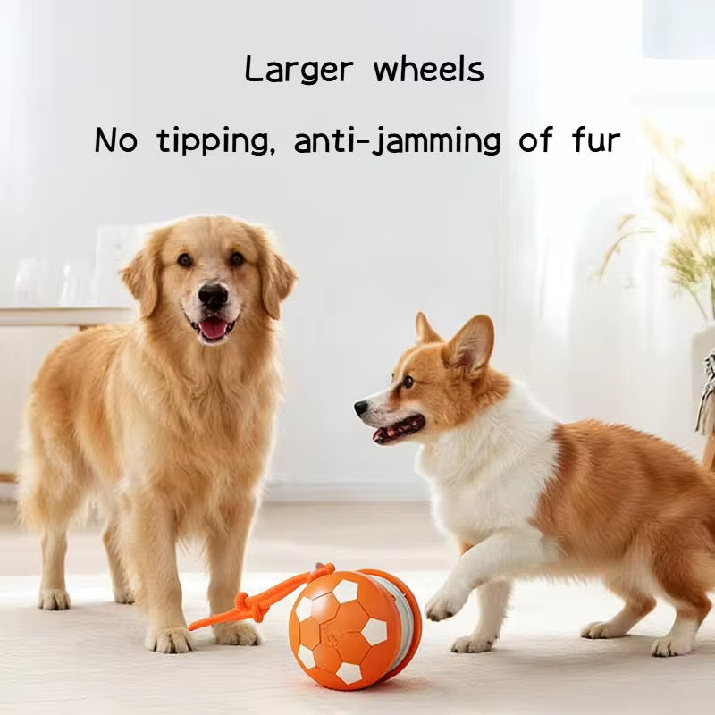 SmartPlay™ Interactive Motion Dog Toy