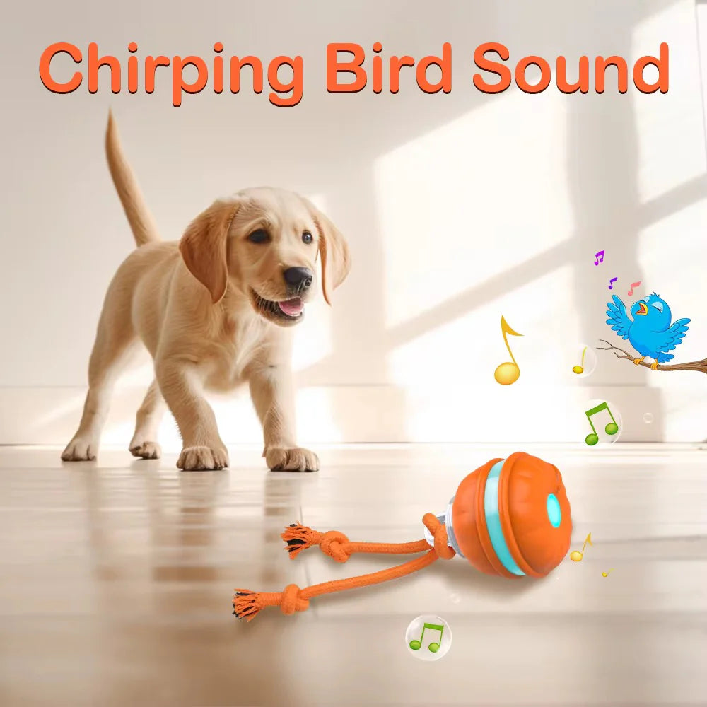 TurboTug™ Automatic Rope Ball – Smart Play Toy for Dogs