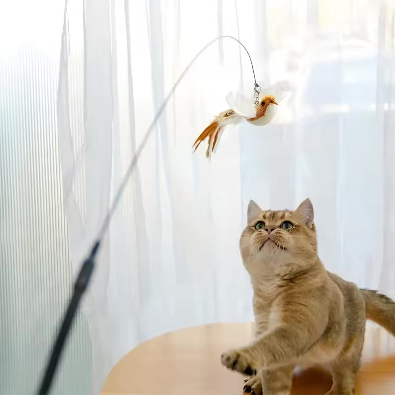 PawFeather™ Interactive Bird Cat Suction Toy – Steel Wire & Strong Base