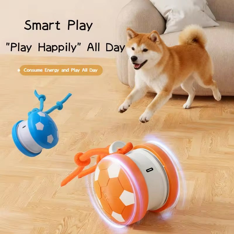 SmartPlay™ Interactive Motion Dog Toy