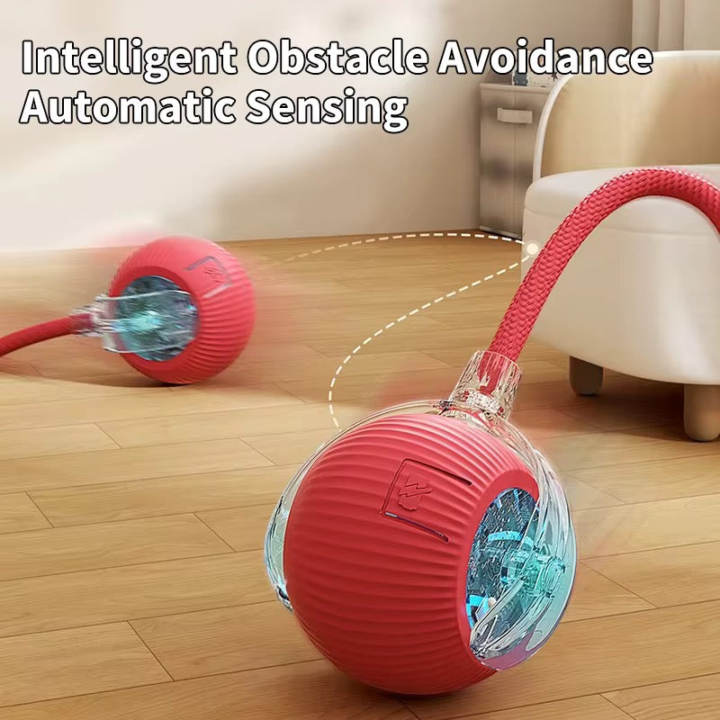 TailSpin™ Smart Ball Interactive Motion Toy for Dogs & Cats